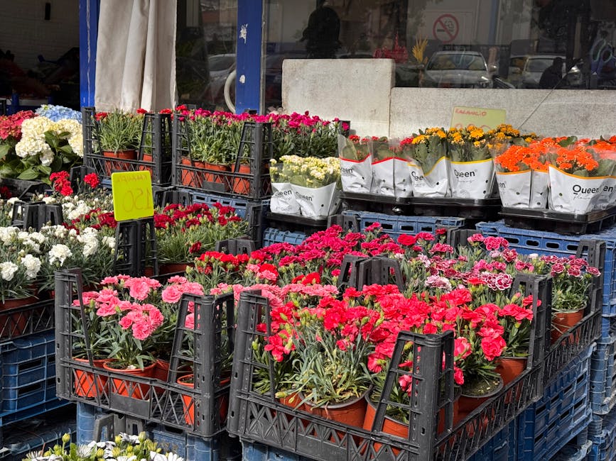 Outdoor display of various potted flowering plants arranged on black plastic crates, featuring pink, red, white, yellow, and orange blooms. The flowers include carnations, chrysanthemums, and daisies,