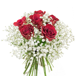 Echoing the classic style beloved throughout Richmond upon Thames, this elegant hand-tied bouquet features six exquisite red roses, their lush, velvety petals unfurling in deep crimson spirals that radiate romance. Each rose is thoughtfully nestled within a billowing embrace of fine white baby's breath-the dainty Gypsophila blossoms catching the light and diffusing it like a soft London mist. The careful composition balances bold colour with airy purity, inviting the eye to linger on the interplay between the fiery heart of the roses and the cloudlike coolness of the filler. Fresh green stems at the base are expertly trimmed and tied to ensure both longevity and visual grace, reminiscent of bouquets often seen carried through the gates of Richmond Park or gracing the riverbank homes along Hill Street. This arrangement is all at once dignified and heartfelt, ideal for occasions that call for both passion and elegance-a birthday, a heartfelt thank you, or a spontaneous romantic surprise. With every element meticulously chosen by local florists, this bouquet brings a touch of riverside refinement and timeless love to any Richmond moment.